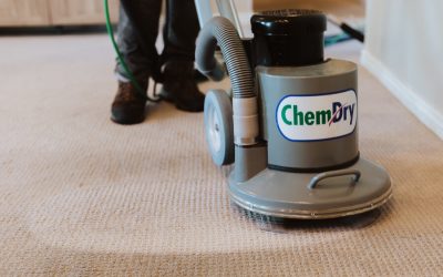 Keep Your Home Fresh and Clean With Apex Chem-Dry Professional Carpet Cleaning