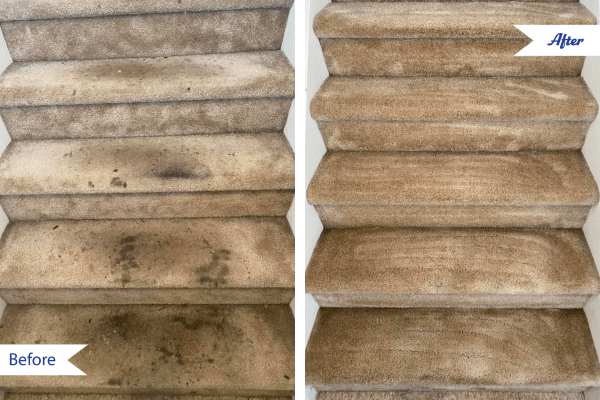 apex-CD-Carpet-Cleaning-Before-&-After (1) before and after carpet cleaning on stairs